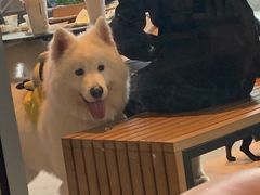 -星巴克(南宁华润幸福里店)