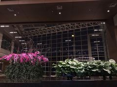 -上海外滩茂悦大酒店