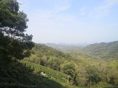 -龙井壹号·茶缘山景宴(龙井村店)