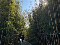-石湖景区
