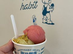 -海比甜店·意式手工冰激淋happy habit gelato