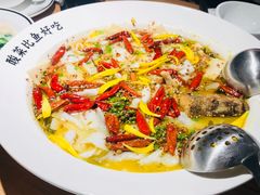 -太二酸菜鱼(正大广场店)
