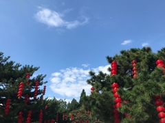 -团结湖公园