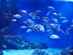 -成都浩海立方海洋公园
