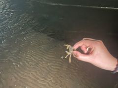 -在海一方公园
