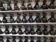 -猫咪博物馆(顶澳仔猫街店)