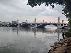 -洱海月湿地公园