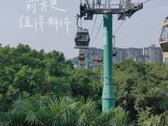 -广州长隆野生动物世界