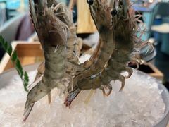 -王家渡火锅店(棕榈泉店)