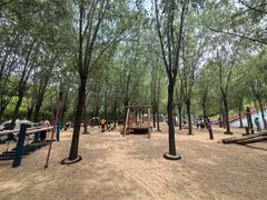 -西部长青自然儿童乐园