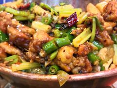 -蛙麻蛙辣炭火蛙锅(南环大街店)