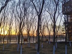 -东郊湿地公园
