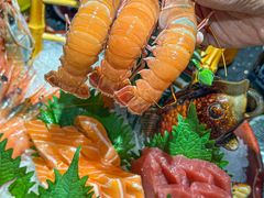 -daozao料理美术馆(东营店)