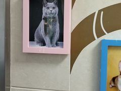 -北京观赏动物医院·24小时大型综合·猫专科·异宠专科