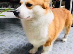 -小梁哥云吞面(黄贝岭店)