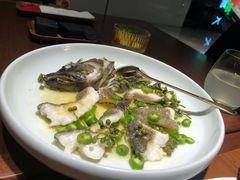 -CHIC1699远洋私厨