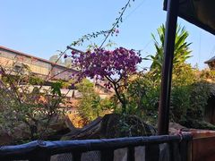 -长鹿旅游休博园
