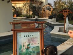 -苏州湾王焰温泉度假酒店