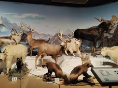 -陕西自然博物馆