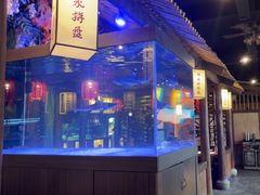 -酒阳蒸经·江湖川菜