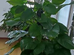 -京西五环检测场