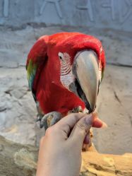 -Zoolung Zoolung动物主题公园(海信广场店)