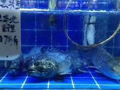 -香满居张记小厨私房菜(青岛站店)
