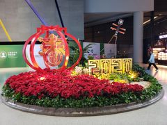 -虹桥机场国航贵宾室v8