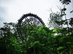 -溱湖国家湿地公园