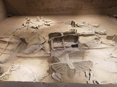 -洛阳周王城天子驾六博物馆