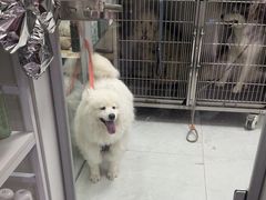 -心仪动物医院·牙专科·肿瘤·心脏科(西客站院)