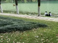 -天鹅湖体育公园