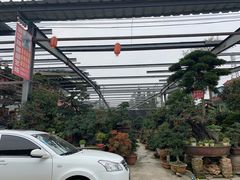-金科花卉市场