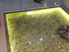 -狐狸和向日葵(北京路店)