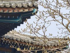 -颐和园