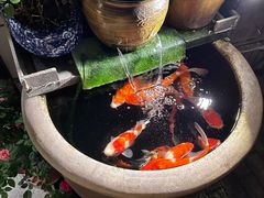 -永安里地摊烤肉(首创店)