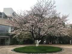 -阳澄湖费尔蒙酒店颐丰阁中餐厅(马鞍山西路店)