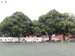 -绿堤公园