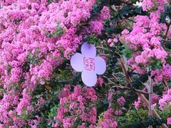 -杭州城北体育公园