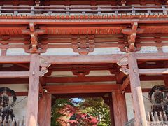 -醍醐寺