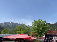 -王顺山国家森林公园
