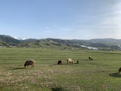 -新疆那拉提国家旅游度假区