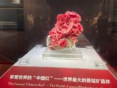 -湖南省地质博物馆