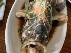 清蒸老虎斑-南海渔家•海鲜•正宗海南菜(海棠湾店)