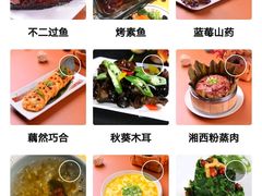 -素虎小呆鸟(西二旗店)