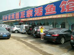 我们特意留念-庆岭迎宾园正宗活鱼馆