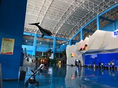 -泉城欧乐堡海洋极地世界