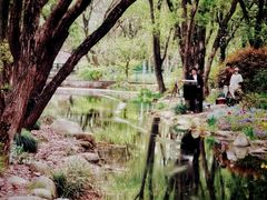 -上海共青森林公园