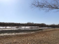 -北京麋鹿生态实验中心