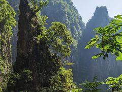 -刘伯温故里景区百丈漈